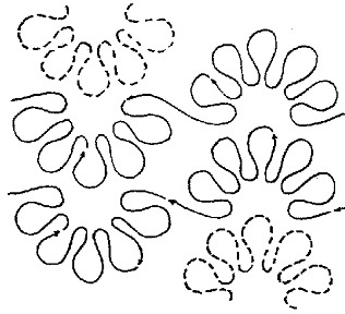 Daisy  Petals  - 8" (2 Rows of 5")"